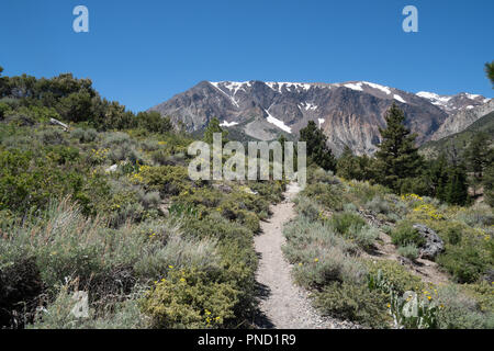 Trailhead zu Parker See Kalifornien in der östlichen Sierra Nevada Berge im Sommer Stockfoto