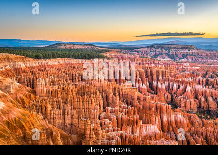 Bryce Canyon National Park, Utah, USA, in der Morgendämmerung. Stockfoto