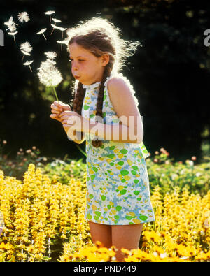 1970 KLEINE MÄDCHEN IM BEREICH DER BLUMEN, Samen aus getrockneten Blüten-Kj 6737 PHT 001 HARS SONNENLICHT SPIRITUALITÄT BUNTE GETROCKNETE BLÜTEN BEWEGUNGSUNSCHÄRFE STILVOLLE SONNENBESCHIENENEN JUGENDLICHE HINTERGRUNDBELEUCHTUNG HINTERGRUNDBELEUCHTUNG KAUKASISCHEN ETHNIE ALTMODISCH Stockfoto