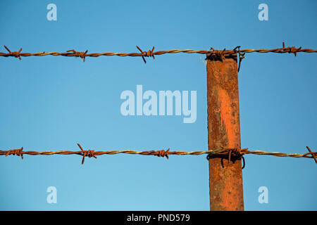 Zwei Stränge der rostigen Stacheldraht auf einen Post von einem Zaun vor blauem Himmel befestigt Stockfoto