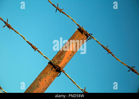 Zwei Stränge der rostigen Stacheldraht auf einen Post von einem Zaun vor blauem Himmel befestigt Stockfoto