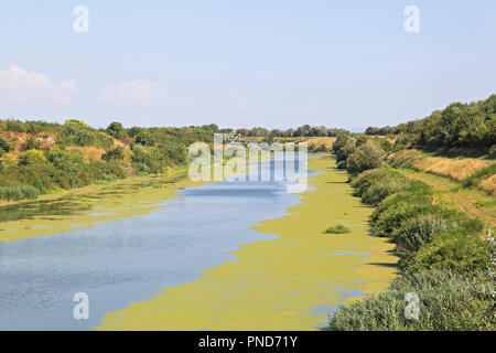 Künstliche Wasserstraße Kanal DTD in der Vojvodina in Serbien Stockfoto