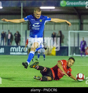 Fußball-Spieler feiern das Zählen von einem Ziel während am Abend Stockfoto