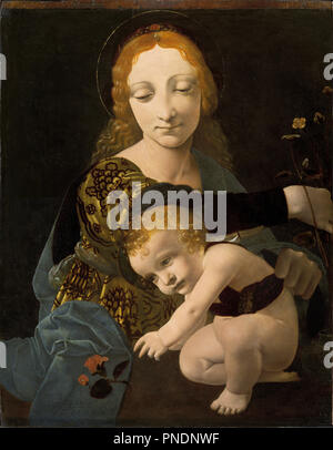 Die Jungfrau mit dem Kind (die Madonna der Rose). Datum/Zeitraum: 1480. Panel. Höhe: 45,50 mm (1,79 in); Breite: 35,60 mm (1.40 in). Autor: Giovanni Antonio Boltraffio. BOLTRAFFIO, Giovanni Antonio. Stockfoto