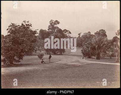 Botanischer Garten. Artist: Unbekannt. Abmessungen: 20,2 x 27,4 cm (7 15/16 x 10 13/16 in.). Datum: 1860s-70s. Museum: Metropolitan Museum of Art, New York, USA. Stockfoto