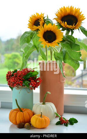 Eine Sammlung von Herbst Blumen, Beeren und Firethorn Miniatur Kürbisse neben einem Fenster im Hochformat. Saisonale Konzept. Stockfoto