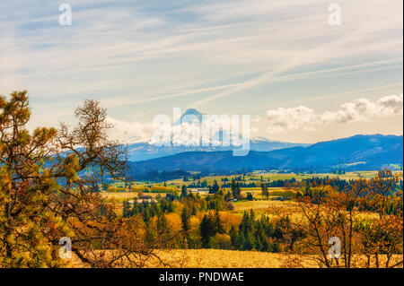 Ein Blick auf ein Tal in der Nähe von Hood River mit majestätischen Mt. Haube im Hintergrund Stockfoto