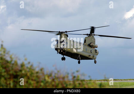 Boein,g CH-47, Chinook, RAF Valley, Vereinigtes Königreich. Stockfoto