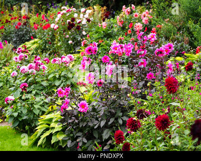 Chenies Manor Sunken Garden im Spätsommer voll bunter Dahlien. Chenies, Buckinghamshire. Stockfoto