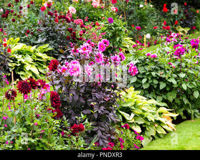 Chenies Manor Sunken Garden im Spätsommer voll bunter Dahlien. Chenies, Buckinghamshire. Stockfoto