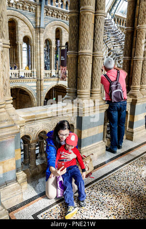 London England, Großbritannien, Großbritannien Großbritannien, Kensington, Naturkundemuseum, Inneneinrichtung, Hintze Hall, Asiaten, ethnische Einwanderer Stockfoto