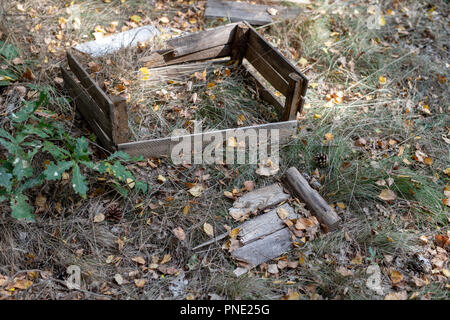 Alte Holzkiste für Obst im Dickicht. Defekte Behälter für den Transport von Gemüse. Jahreszeit der Herbst. Stockfoto