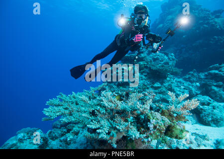 Ein Taucher unter Wasser fotografieren. Insel Yap der Föderierten Staaten von Mikronesien Stockfoto