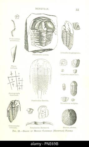 Bild von Seite 79 der "Physikalische Geologie und Geographie von Großbritannien. In der sechsten Ausgabe, die von H. B. Woodward' bearbeitet. Stockfoto