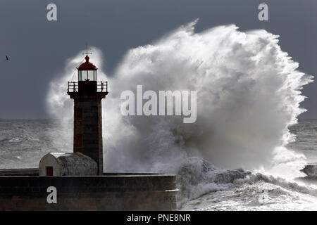 Hinterleuchtete große stürmische Welle Leuchtturm Stockfoto