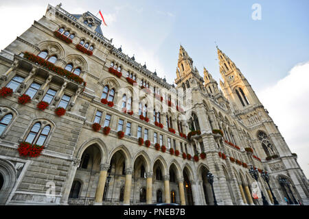 Wiener Rathaus. Österreich Stockfoto