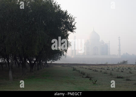 Prächtige Taj Mahal die Wunder der Welt und der Stolz von Indien im Winter morgens und ab Mehtab Bagh mit Bäumen im Park Agra Indien gesehen Stockfoto