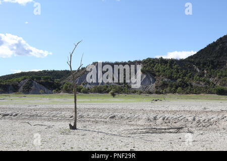 Eine Landschaft von Totholz stehend auf einem trockenen gerissenen grau Ton Boden an einem heißen sonnigen Tag, mit Bergen im Hintergrund, in der mediano See Stockfoto