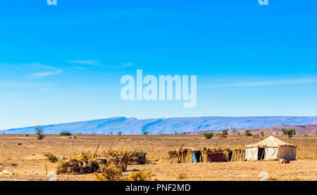 Blick auf Beduinenzelt in der Sahara Wüste Marokko neben M'hamid Stockfoto