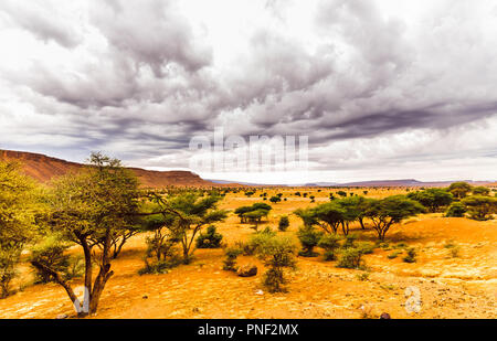 Blick auf dramatische Savannenlandschaft in Marokko Stockfoto