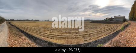 Ein Panorama des Traktors Streifen für die Ernte in einem gelben Reis Feld am Ende der Saison im Herbst, während eines bewölkten Tag, in Italien Stockfoto