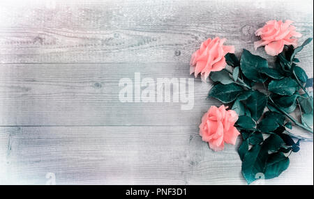 Auf einem hellen Holzmöbeln im Landhausstil Hintergrund luxuriöse Rosen mit zarten Blütenblätter. Ansicht von oben, kopieren. Stockfoto