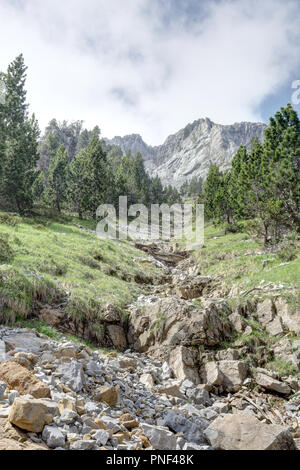 Eine Landschaft der hohen Berge und Gebirgsmassive, Kiefern und Tannen wald und einen blauen Himmel mit einigen Wolken im Ordesa Tal (Valle de Ordesa), Spanien Stockfoto