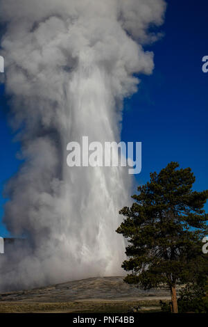 Scenerey im Yellowstone National Park, USA Stockfoto