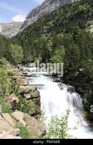 Eine ländliche Landschaft mit araza River Wasserfälle in den Kiefern und Tannen wald, mit dem Monte Perdido Bergen im Hintergrund, Ordesa, Spanien Stockfoto