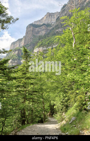 Eine Landschaft von einem Weg durch die hohen Berge und Gebirgsmassive, Kiefern und Tannen wald und tiefen blauen Himmel mit einigen Wolken im Ordesa-tal, Spanien Stockfoto