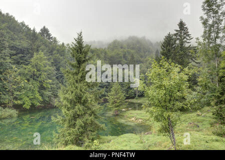 Ein kleiner grüner See in der montagnole Basse in den Bergen, in den italienischen Alpen, nur nach dem Regen, mit dicken Wolken, nasses Gras und Bäumen. Stockfoto