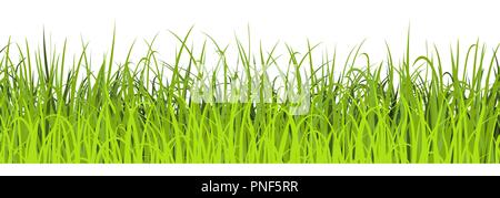 Spring Green Grass nahtlose Abbildung. Grüne Wiese, die Grenze. Vector Illustration Stock Vektor