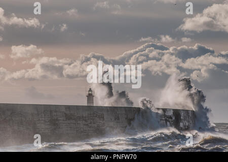 Newhaven, East Sussex, UK..21. September 2018..Die Extremitäten des Sturms Bronagh schufen spektakuläre Szenen an der Südküste. Wind aus der WSW, etwas kühler als spät, peitscht die Wellen am Newhaven West Arm & Leuchtturm hoch. . Stockfoto