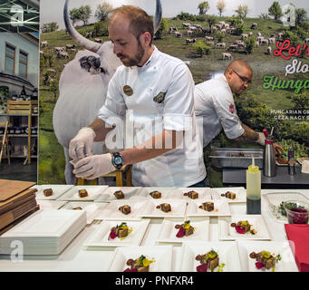 Italien Turin, Lingotto 21 September 2018 Terra Madre - Salone del Gusto - Ungarn Credit: Wirklich Easy Star/Alamy Live News Stand Stockfoto