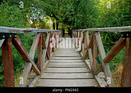 Hölzerne Brücke über einen Fluss von üppigen grünen Laub in El Calafate, Provinz Santa Cruz, Patagonien, Argentinien Stockfoto