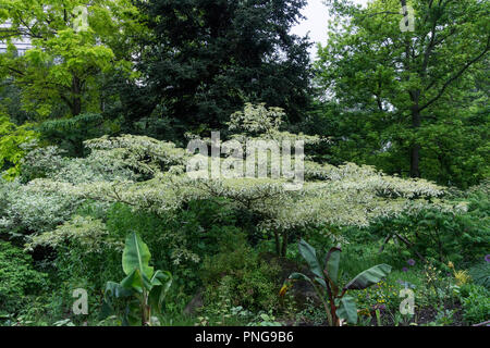 Champigny-sur-Marne, Paris. Public Garden Stockfoto