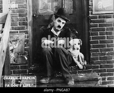 Original Film Titel: ein HUNDELEBEN. Englischer Titel: ein HUNDELEBEN. Jahr: 1918. Regisseur: Charlie Chaplin. Stars: Charlie Chaplin. Credit: ERSTER NATIONALER/Album Stockfoto