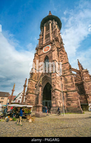 Das Freiburger Münster. Kathedrale. Freiburg. Freiburg im Breisgau. Schwarzwald. Baden Württemberg. Deutschland Stockfoto