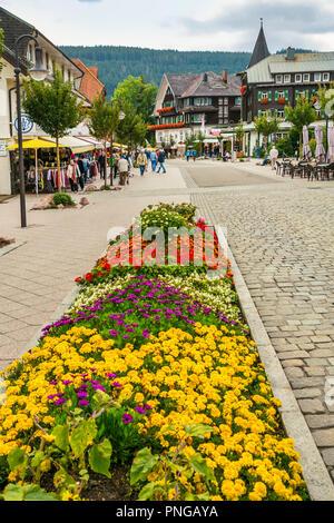 Titisee. Titisee-Neustadt. Schwarzwald. Baden Württemberg. Deutschland. Europa Stockfoto