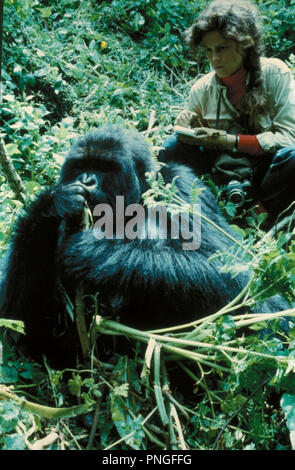 Original Film Titel: Gorillas im Nebel: DIE GESCHICHTE DER Dian Fossey. Englischer Titel: Gorillas im Nebel: DIE GESCHICHTE DER Dian Fossey. Jahr: 1988. Regie: Michael Apted. Stars: Sigourney Weaver. Quelle: WARNER BROTHERS/Album Stockfoto