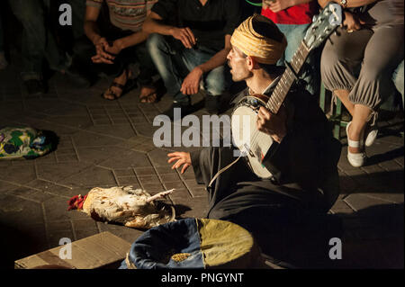 25-02-11. Marrakesch, Marokko. Ein Magier mit seinem geschulten cockerall führt in den Jemaa el-Fna in der Nacht. Foto © Simon Grosset Stockfoto