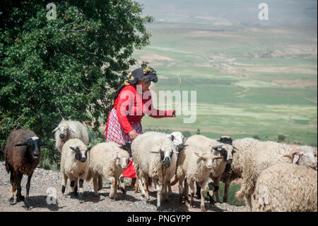 25-02-11. Marrakesch, Marokko. Eine Frau / shepheress Schafehüten auf einer Straße klettern auf das Atlas Gebirge südlich von Marrakesch. Foto © Simon Gr Stockfoto