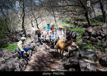 25-02-11. Marrakesch, Marokko. Touristen Reiten Esel auf einem Trail in den Ausläufern des Atlas Mountains im Süden von Marrakesch. Foto © Simon Gros Stockfoto