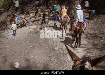 25-02-11. Marrakesch, Marokko. Touristen Reiten Esel auf einem Trail in den Ausläufern des Atlas Mountains im Süden von Marrakesch. Foto © Simon Gros Stockfoto