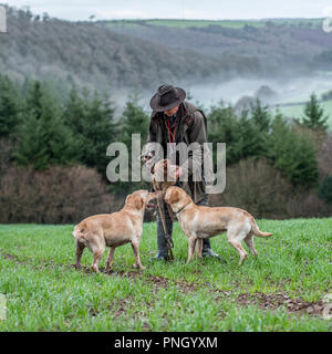 Mann und seine Hunde aufnehmen tot Fasane auf einem Schießen Stockfoto