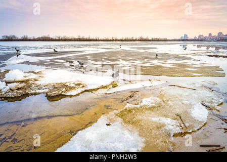 Blöcke von Eis auf dem gefrorenen Fluss Dnepr in Kiew bei einem kalten Winter. Tauben und Krähen sind auf der Suche nach Essen. Die obolon Skyline erscheint in der Dist Stockfoto