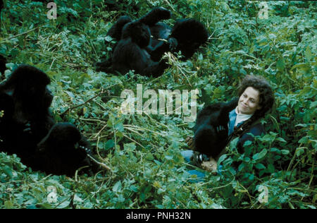 Original Film Titel: Gorillas im Nebel: DIE GESCHICHTE DER Dian Fossey. Englischer Titel: Gorillas im Nebel: DIE GESCHICHTE DER Dian Fossey. Jahr: 1988. Regie: Michael Apted. Stars: Sigourney Weaver. Quelle: WARNER BROTHERS/Album Stockfoto