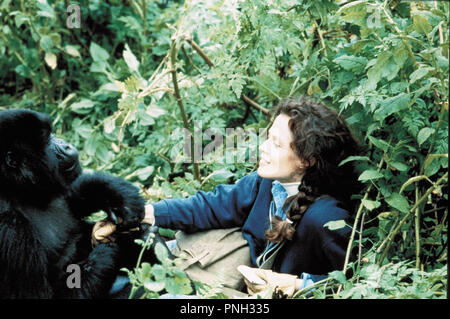 Original Film Titel: Gorillas im Nebel: DIE GESCHICHTE DER Dian Fossey. Englischer Titel: Gorillas im Nebel: DIE GESCHICHTE DER Dian Fossey. Jahr: 1988. Regie: Michael Apted. Stars: Sigourney Weaver. Quelle: WARNER BROTHERS/Album Stockfoto