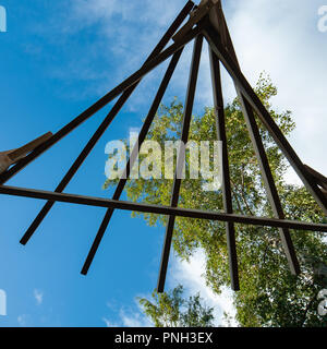 Ansicht eines Silver Birch aus unter einer Pergola, vom Boden aus. Stockfoto