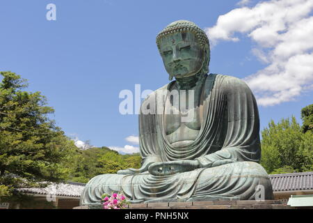 Der große Buddha von Kamakura in Kotokuin Tempel, Japan Stockfoto